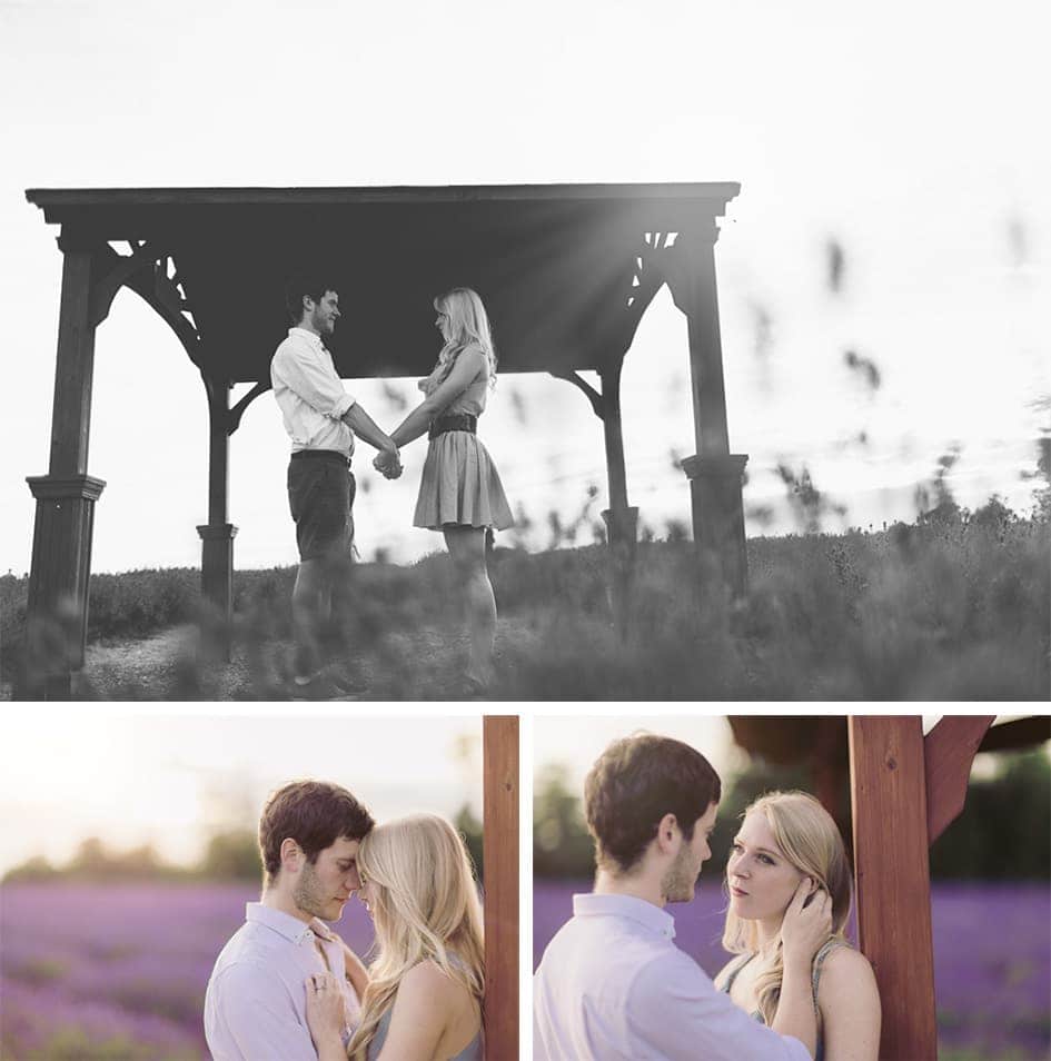 Mayfield Lavender Photography Shoot