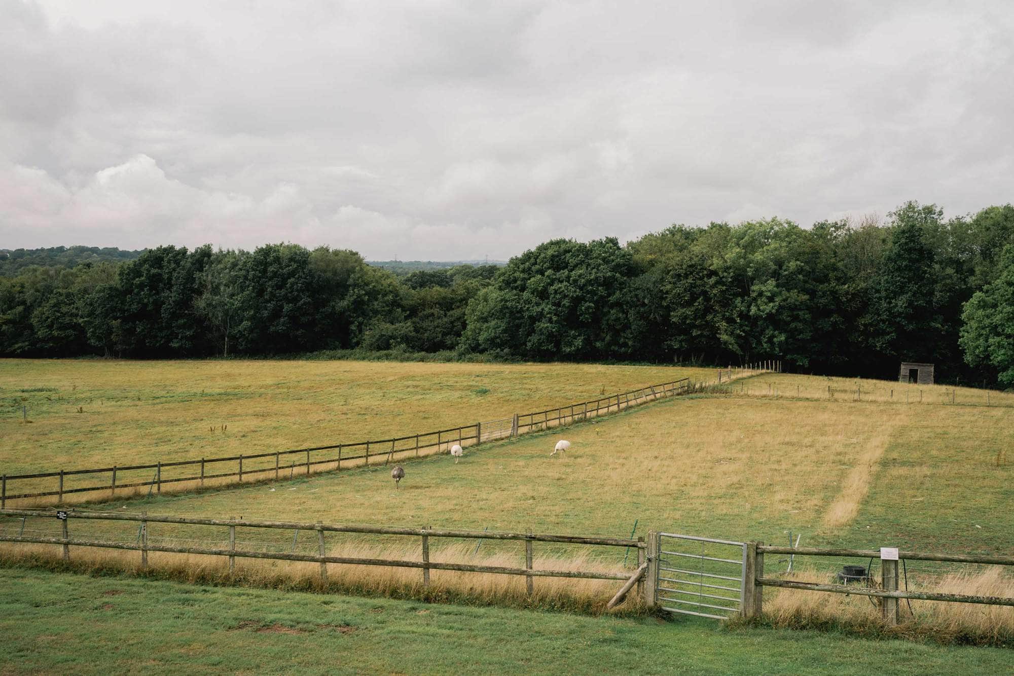 Blackstock Country Estate fields