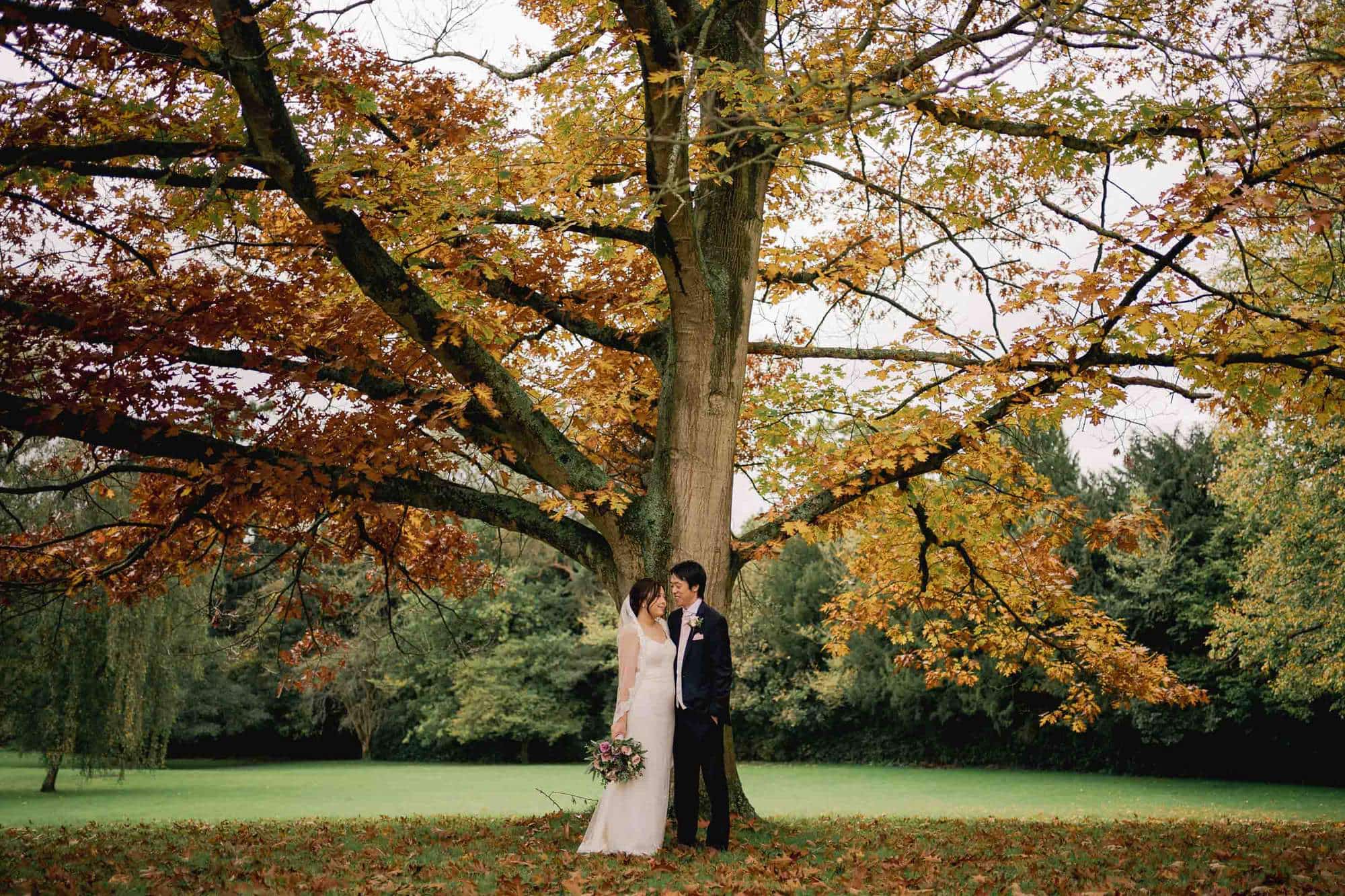 Bride and Groom under a tree at Hartsfield Manor in Surrey