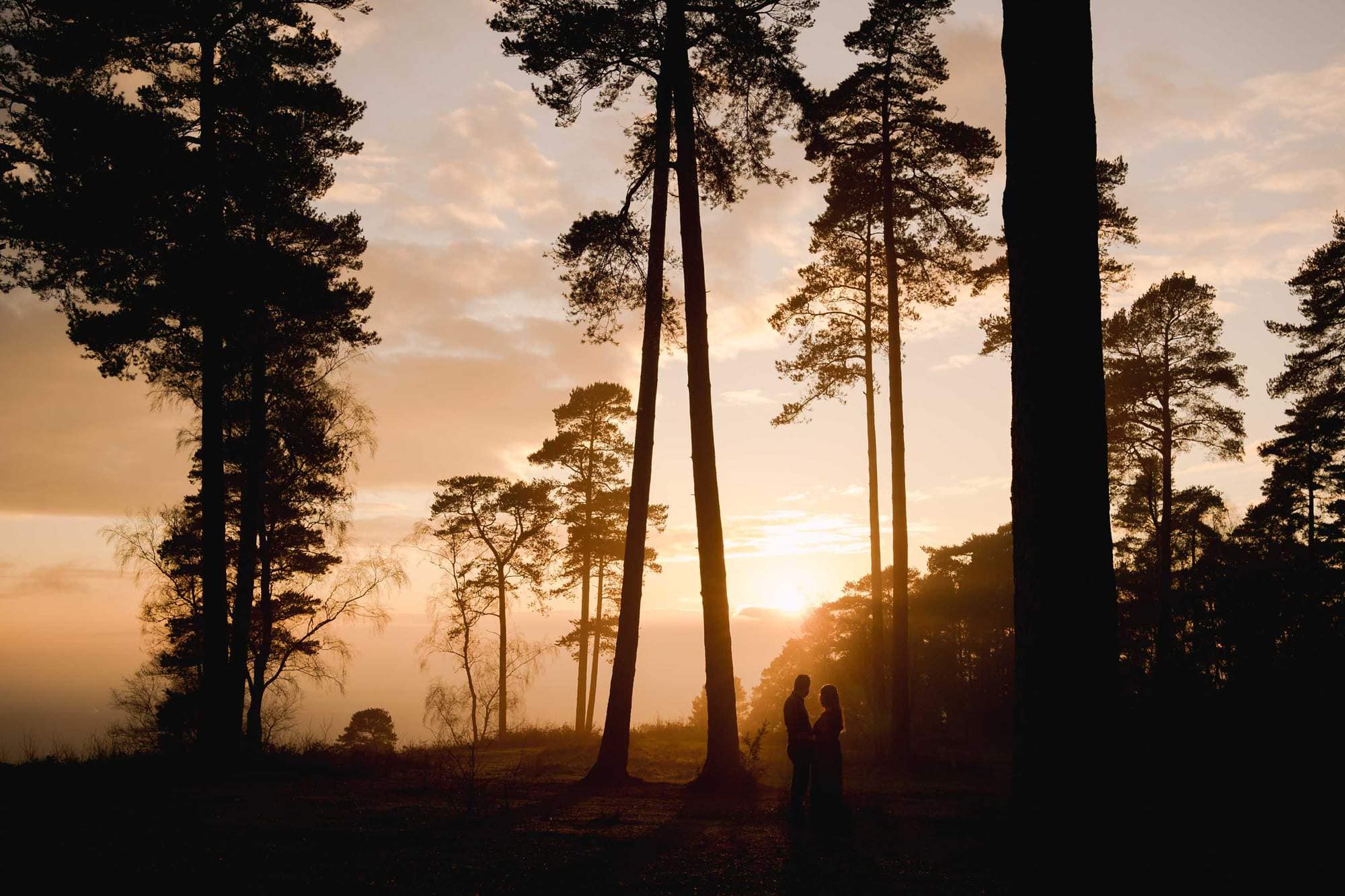 Sunset couple shoot in the Surrey Hills