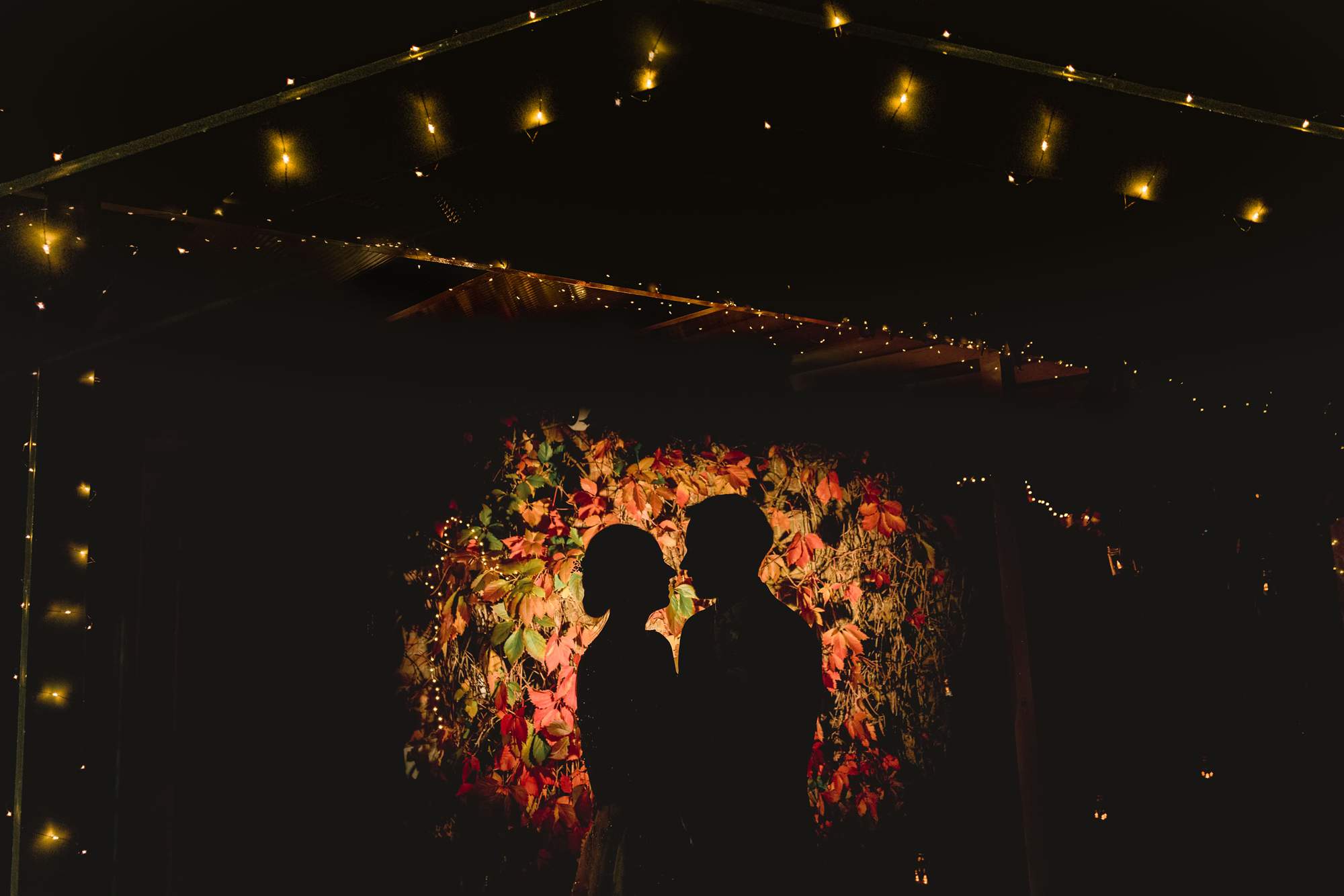 Bride and groom silhouetted at Northbrook Park wedding venue in Farnham.